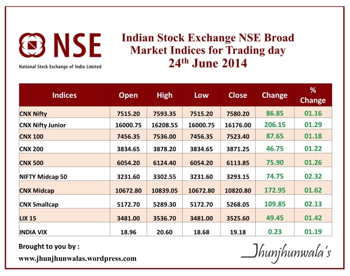 Indian Stock Exchange ,NS Broad Market Indices Performance for Trading day 24th June 2014